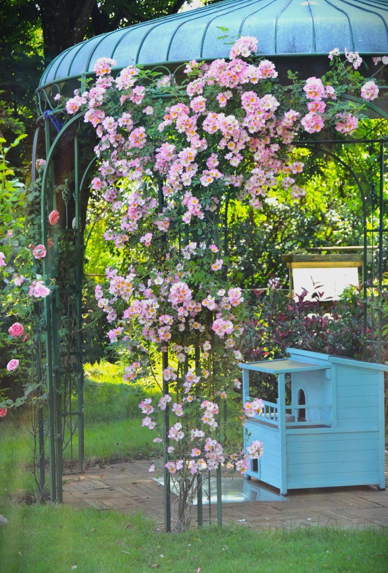 Au Temps Suspendu Bed & Breakfast Champagney Екстериор снимка
